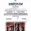 шашки 2-1.jpg шашки 2-1.jpg
